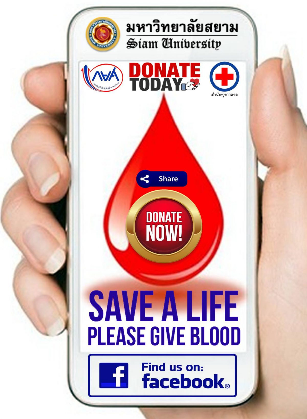 23698630 1683618311702690 1379886103 o 1